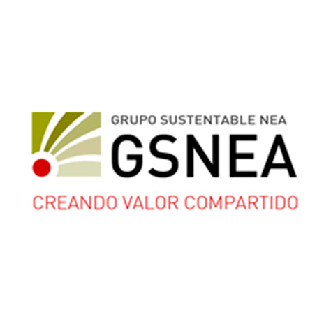 Grupo sustentable NEA